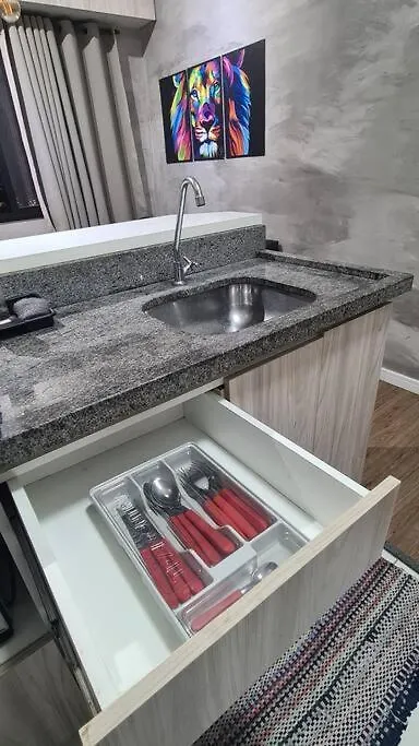 Apartamento Studio Cobertura Bela Vista Apartment Sao Paulo Brazil
